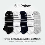 Ekonomik Kadın Patik Çorap 5'li Paket %85 Pamuklu Çizgili Yumuşak Konforlu Nefes Alabilir Set