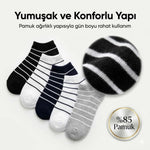 Ekonomik Kadın Patik Çorap 5'li Paket %85 Pamuklu Çizgili Yumuşak Konforlu Nefes Alabilir Set