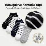 Ekonomik Kadın Patik Çorap 5'li Paket %85 Pamuklu Çizgili Yumuşak Konforlu Nefes Alabilir Set
