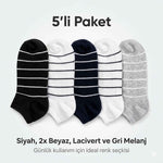 Ekonomik Kadın Patik Çorap 5'li Paket %85 Pamuklu Çizgili Yumuşak Konforlu Nefes Alabilir Set