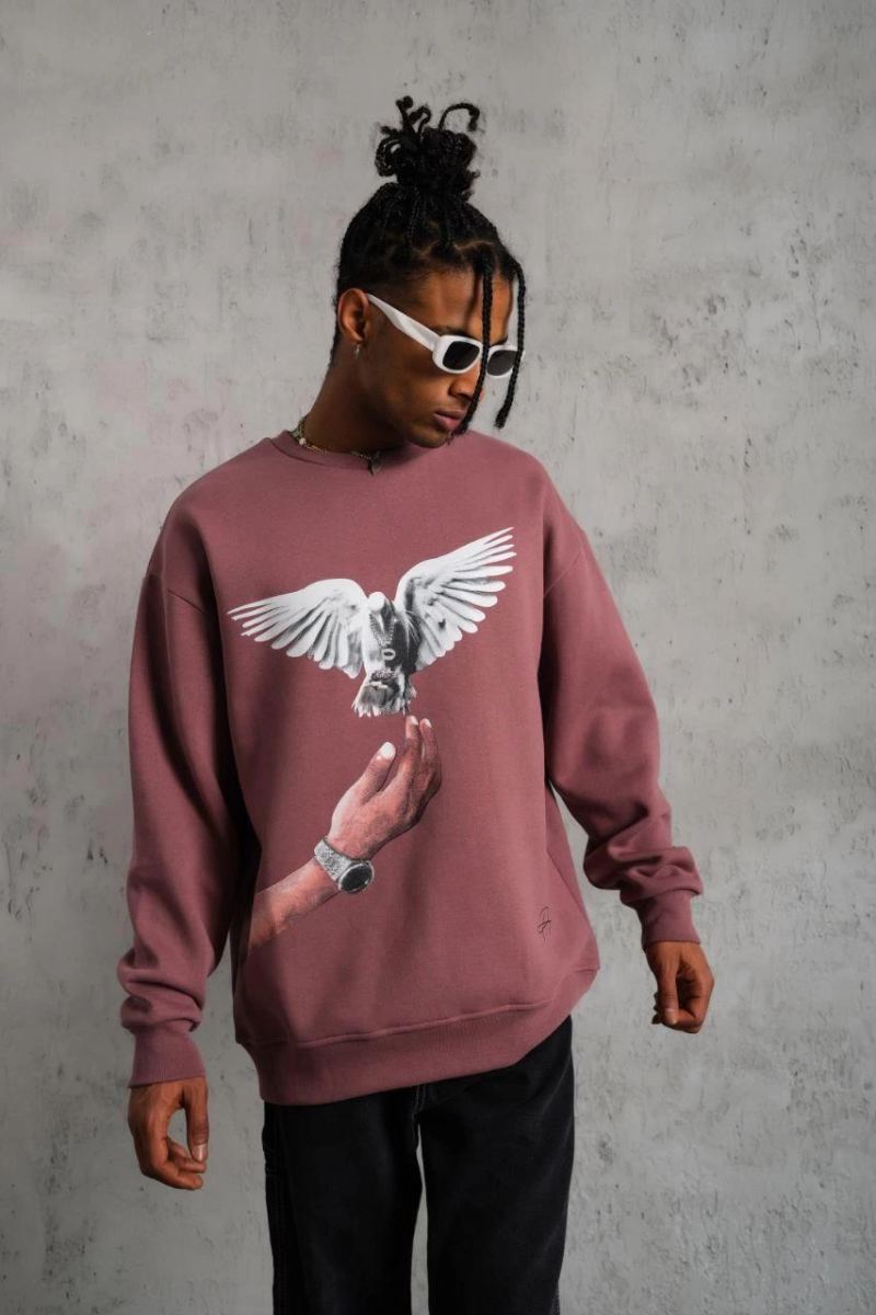 Erkek Güvercin Baskılı Bisiklet Yaka Sweatshirt 3 iplik pamuklu - Gül Kurusu