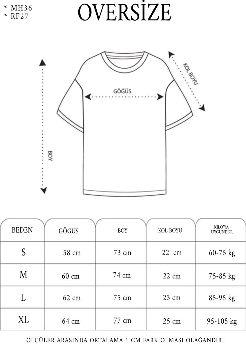 Görsel alt metni