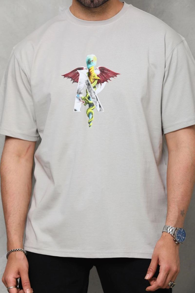 Erkek Baskılı T-Shirt Kısa Kol Bisiklet Yaka Regular Fit Rahat Kalıp Tişört -  Gri