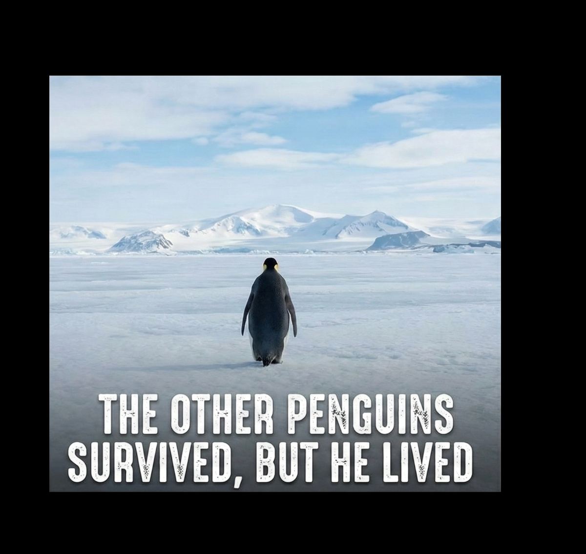 Erkek Survivor Penguin Baskılı 3 İplik Pamuklu Kapüşonlu Sweatshirt Hoodie Beyaz