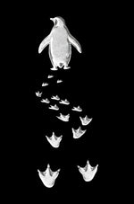 Erkek Nihilist Penguen Baskılı 3 İplik Pamuklu Kapüşonlu Sweatshirt Hoodie Siyah