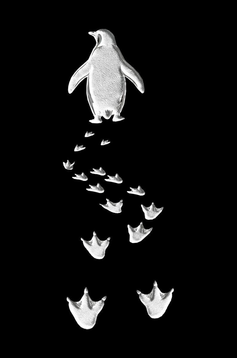 Erkek Nihilist Penguen Baskılı 3 İplik Pamuklu Kapüşonlu Sweatshirt Hoodie Siyah
