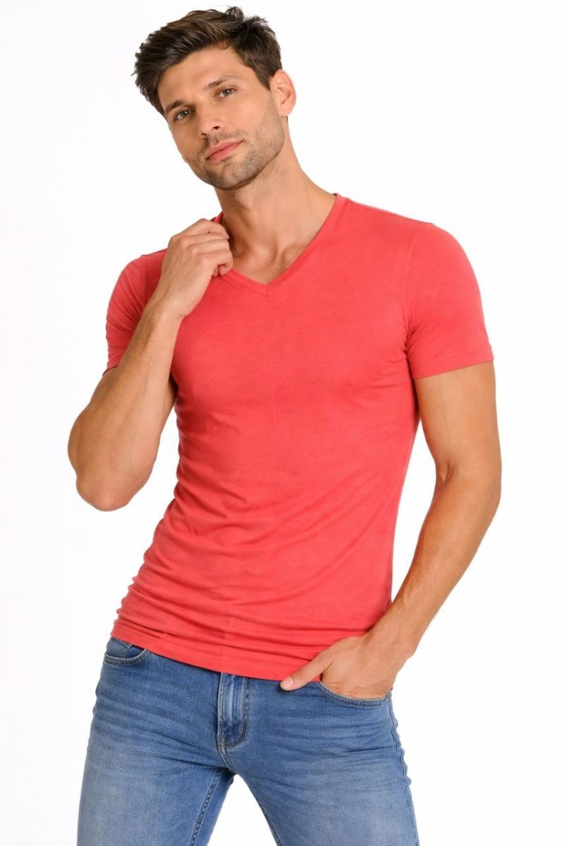 Erkek Body T-shirt V Yaka Slim Fit Likralı Kısa kol Tişört - Nar Çiçeği